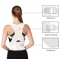 ALIGNHAVEN – Back Support Solution for Comfortable Everyday Wear