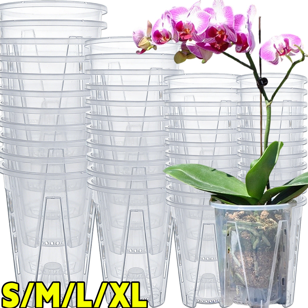 CLEARSPROUT SET – Transparent Pots for Easy Root Monitoring and Healthy Plant Growth