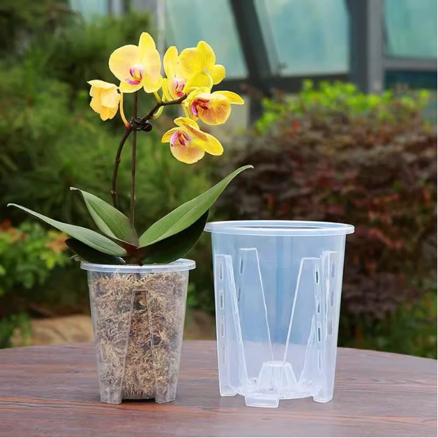 CLEARSPROUT SET – Transparent Pots for Easy Root Monitoring and Healthy Plant Growth