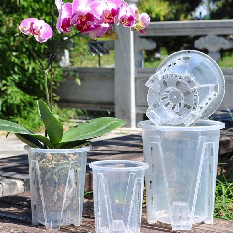 CLEARSPROUT SET – Transparent Pots for Easy Root Monitoring and Healthy Plant Growth