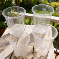 CLEARSPROUT SET – Transparent Pots for Easy Root Monitoring and Healthy Plant Growth