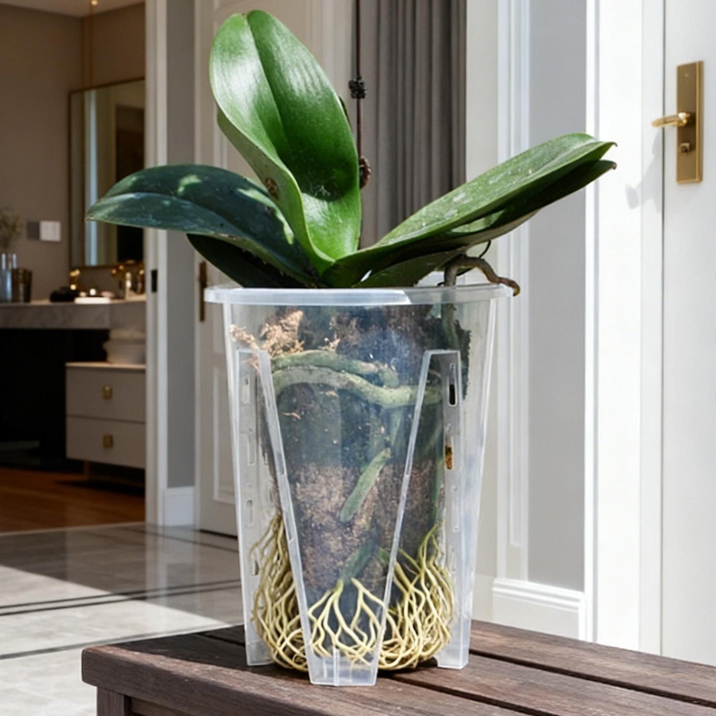 CLEARSPROUT SET – Transparent Pots for Easy Root Monitoring and Healthy Plant Growth