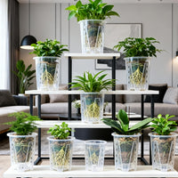 CLEARSPROUT SET – Transparent Pots for Easy Root Monitoring and Healthy Plant Growth