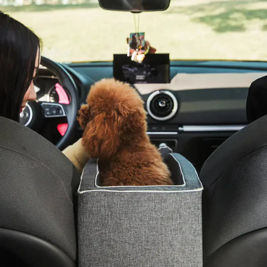 PetCruza - Elevated Dog Car Seat for Small Dogs Up to 11kg, Comfortable Booster Seat 0