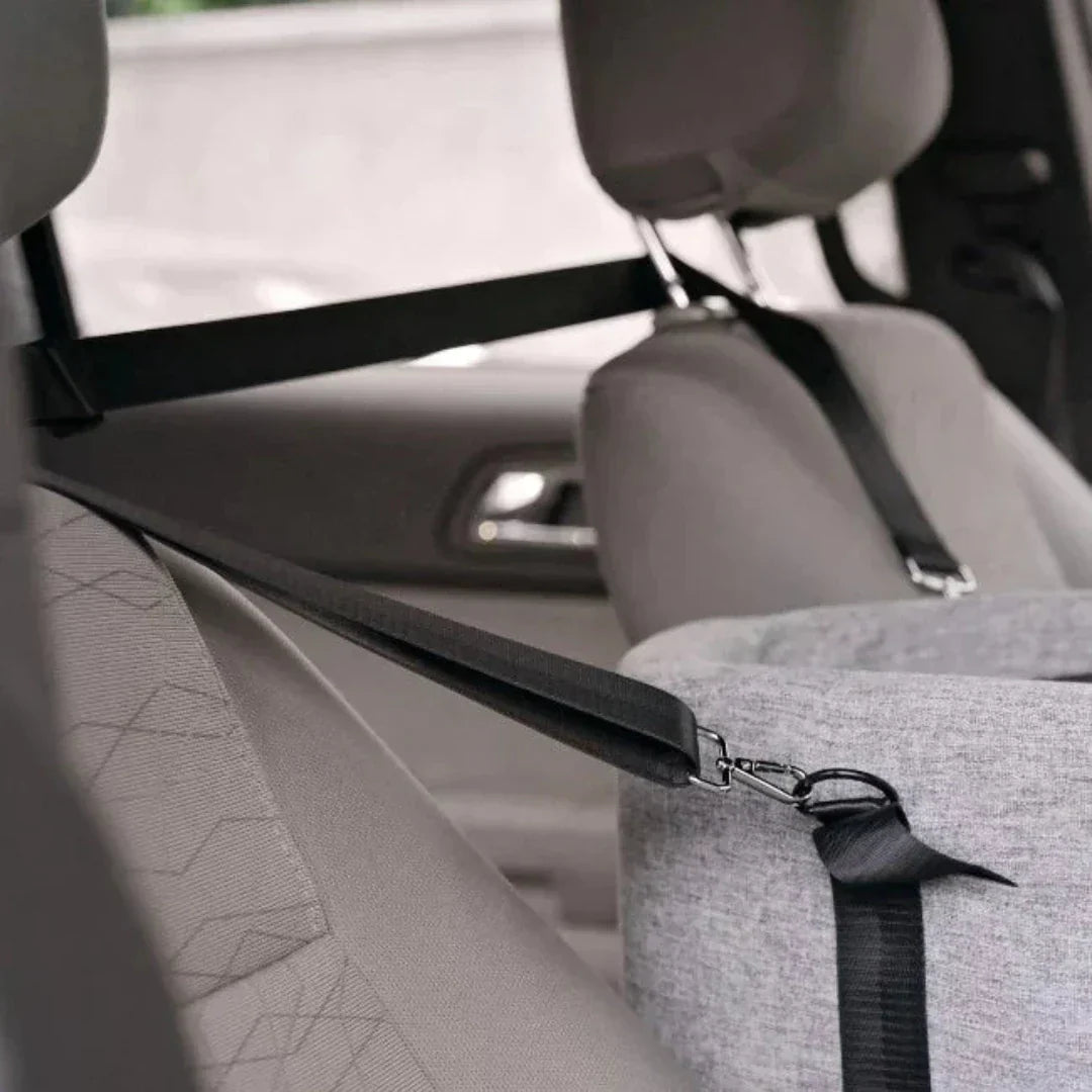 PetCruza - Elevated Dog Car Seat for Small Dogs Up to 11kg, Comfortable Booster Seat 3
