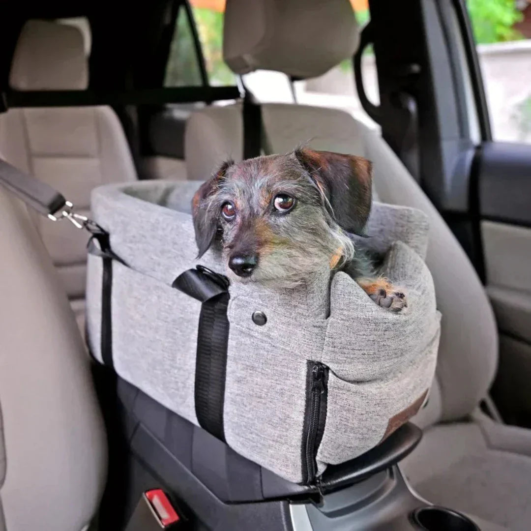 PetCruza - Elevated Dog Car Seat for Small Dogs Up to 11kg, Comfortable Booster Seat 4