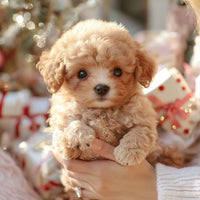 PlushWau - Interactive Realistic Plush Toy Dog with Touch Response 5
