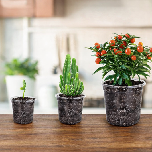 ROOTVIEW SET – 15 pack Transparent Seedling Pots for Easy Root Monitoring and Growth