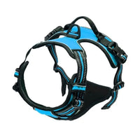 PAWSLUX SET – Leather Dog Collar, Harness & Leash Combo