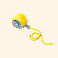 JUMPPLAY BALL – Smart Interactive Pet Toy for Dogs & Cats