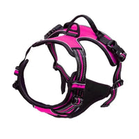 PAWSLUX SET – Leather Dog Collar, Harness & Leash Combo