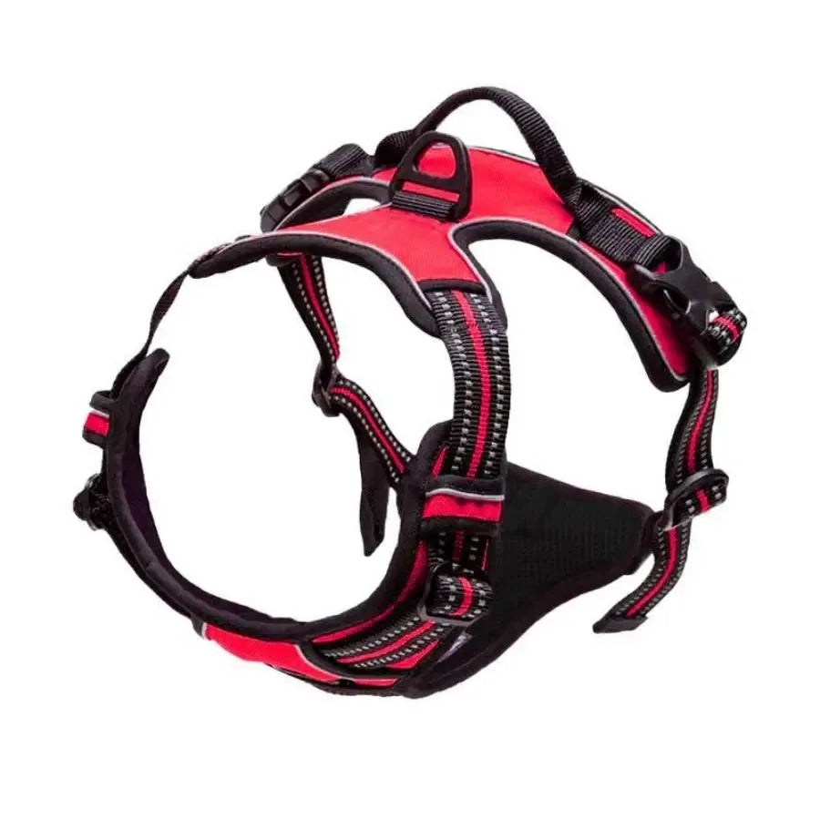 PAWSLUX SET – Leather Dog Collar, Harness & Leash Combo