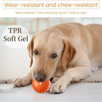 JUMPPLAY BALL – Smart Interactive Pet Toy for Dogs & Cats