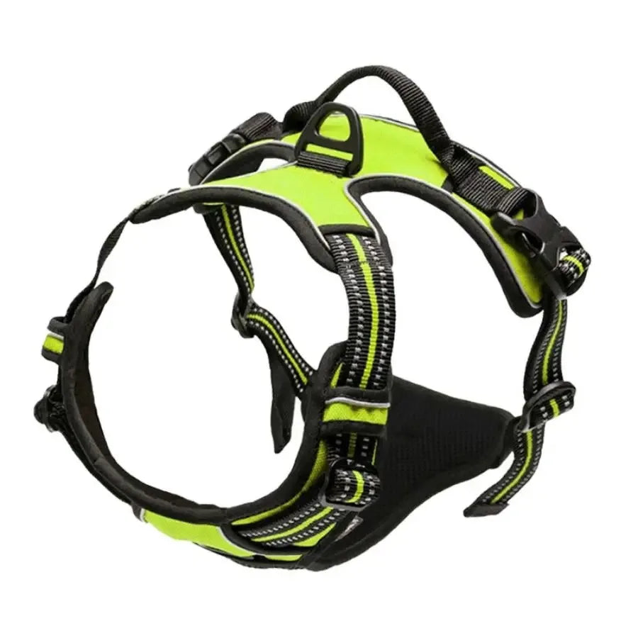 PAWSLUX SET – Leather Dog Collar, Harness & Leash Combo