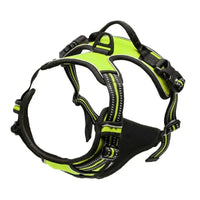 PAWSLUX SET – Leather Dog Collar, Harness & Leash Combo