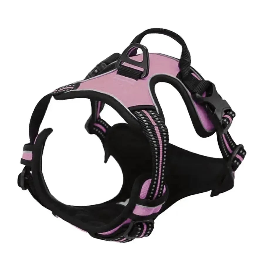 PAWSLUX SET – Leather Dog Collar, Harness & Leash Combo