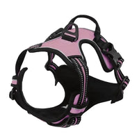 PAWSLUX SET – Leather Dog Collar, Harness & Leash Combo