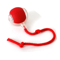 JUMPPLAY BALL – Smart Interactive Pet Toy for Dogs & Cats