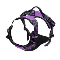 PAWSLUX SET – Leather Dog Collar, Harness & Leash Combo