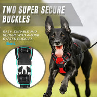 PAWSLUX SET – Leather Dog Collar, Harness & Leash Combo
