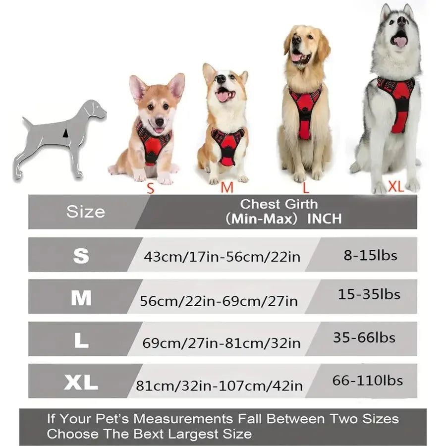 PAWSLUX SET – Leather Dog Collar, Harness & Leash Combo