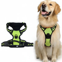 PAWSLUX SET – Leder-Hundehalsband, Geschirr & Leinen-Kombination