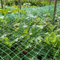 DEERBLOCK – Protective Garden Netting for Birds and Wildlife Control