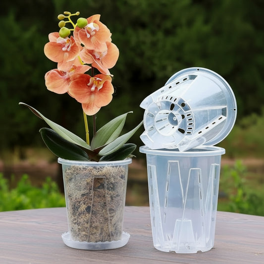 CLEARSPROUT SET – Transparent Pots for Easy Root Monitoring and Healthy Plant Growth