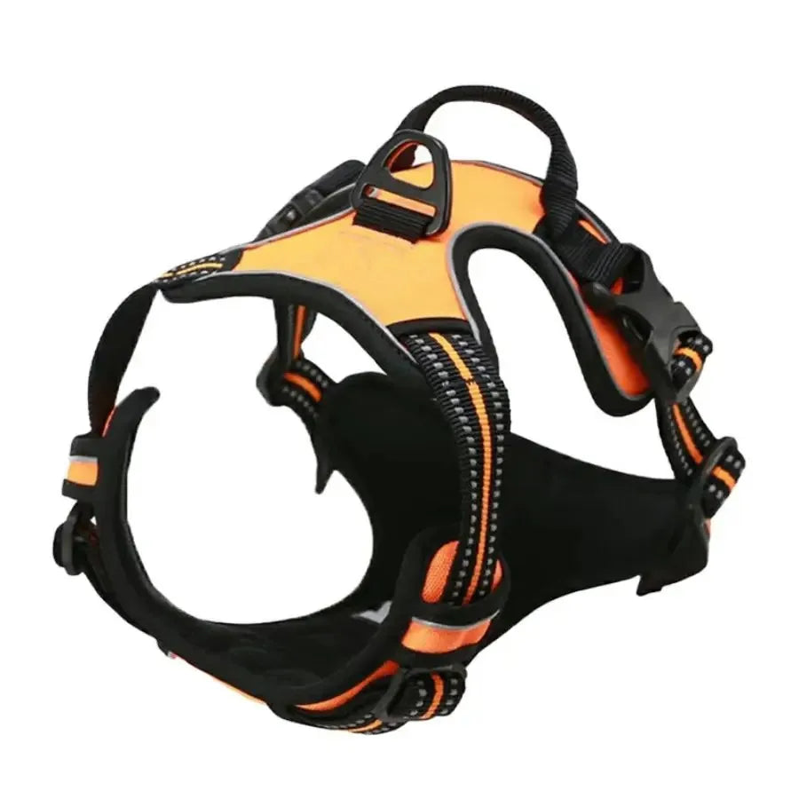 PAWSLUX SET – Leather Dog Collar, Harness & Leash Combo