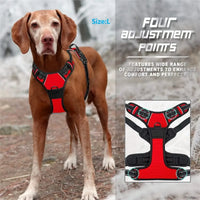 PAWSLUX SET – Leather Dog Collar, Harness & Leash Combo