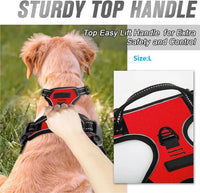 PAWSLUX SET – Leather Dog Collar, Harness & Leash Combo
