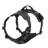 PAWSLUX SET – Leather Dog Collar, Harness & Leash Combo