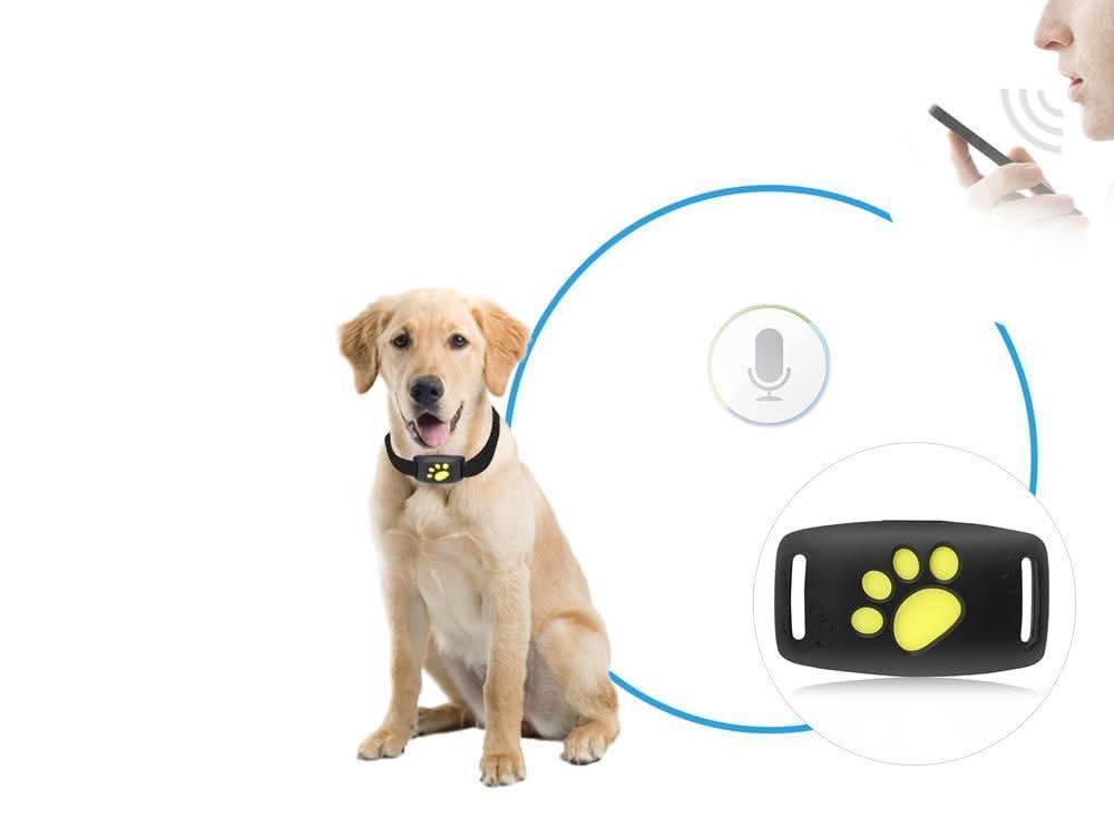 SmartCat - GPS Cat Tracker Collar with Real-Time Location Updates 2