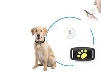 SmartCat - GPS Cat Tracker Collar with Real-Time Location Updates 2