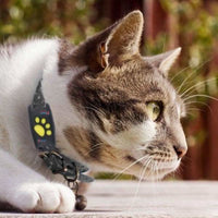 SmartCat - GPS Cat Tracker Collar with Real-Time Location Updates 3