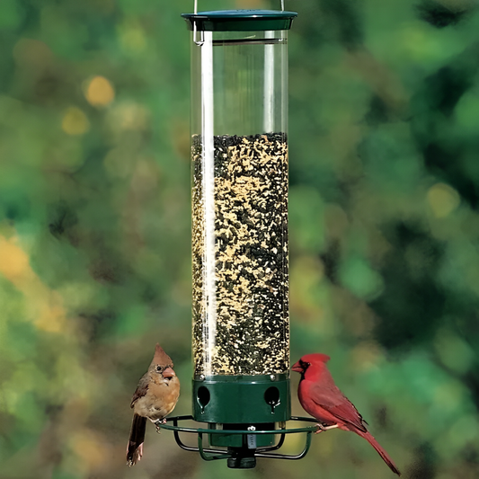 Squirrel Proof Bird Feeder - Weight-Activated Perch, Durable Metal Design, 5 lb Capacity 0