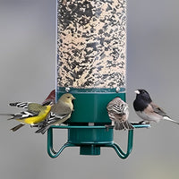 Squirrel Proof Bird Feeder - Weight-Activated Perch, Durable Metal Design, 5 lb Capacity 1
