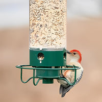 Squirrel Proof Bird Feeder - Weight-Activated Perch, Durable Metal Design, 5 lb Capacity 2