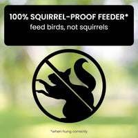 Squirrel Proof Bird Feeder - Weight-Activated Perch, Durable Metal Design, 5 lb Capacity 3