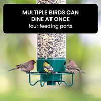 Squirrel Proof Bird Feeder - Weight-Activated Perch, Durable Metal Design, 5 lb Capacity 4