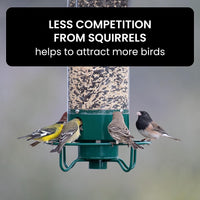 Squirrel Proof Bird Feeder - Weight-Activated Perch, Durable Metal Design, 5 lb Capacity 6