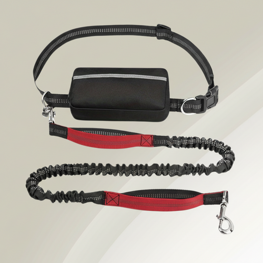 StrideBuddy - Hands-Free Dog Leash with Shock Absorption for Ultimate Control 0