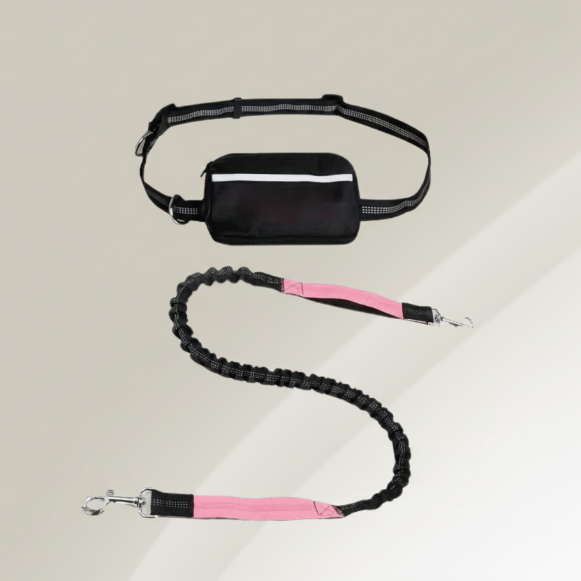 StrideBuddy - Hands-Free Dog Leash with Shock Absorption for Ultimate Control 12