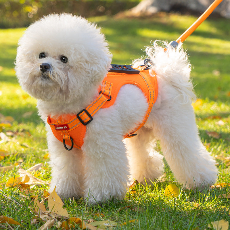 TailMate - No Pull Dog Harness with Handle for Comfortable and Safe Walks 1