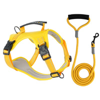 TailMate - No Pull Dog Harness with Handle for Comfortable and Safe Walks 5