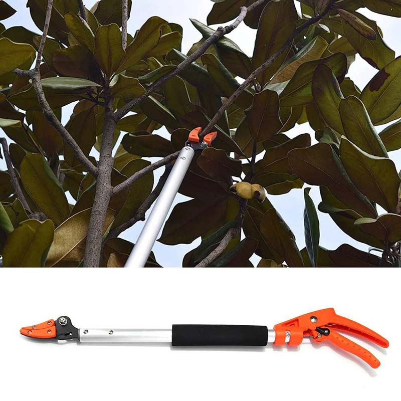 TrimReach - Telescopic Hedge Trimmer for Safe and Easy Cutting 4