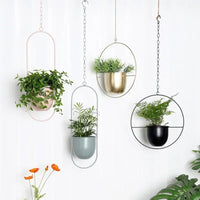 VERTILINE – Minimalist wall plant hanger with adjustable chain for a sleek, clear interior 1
