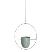 VERTILINE – Minimalist wall plant hanger with adjustable chain for a sleek, clear interior 10