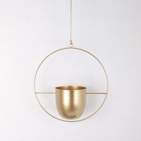 VERTILINE – Minimalist wall plant hanger with adjustable chain for a sleek, clear interior 12