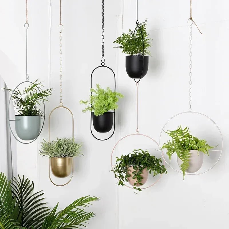 VERTILINE – Minimalist wall plant hanger with adjustable chain for a sleek, clear interior 2